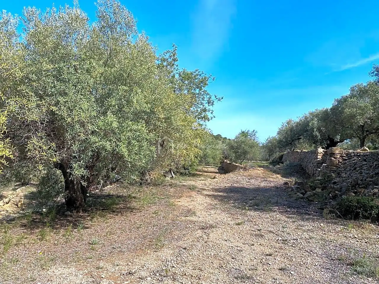 Terreno rustico in vendita a Puig Moltó, imagen 15