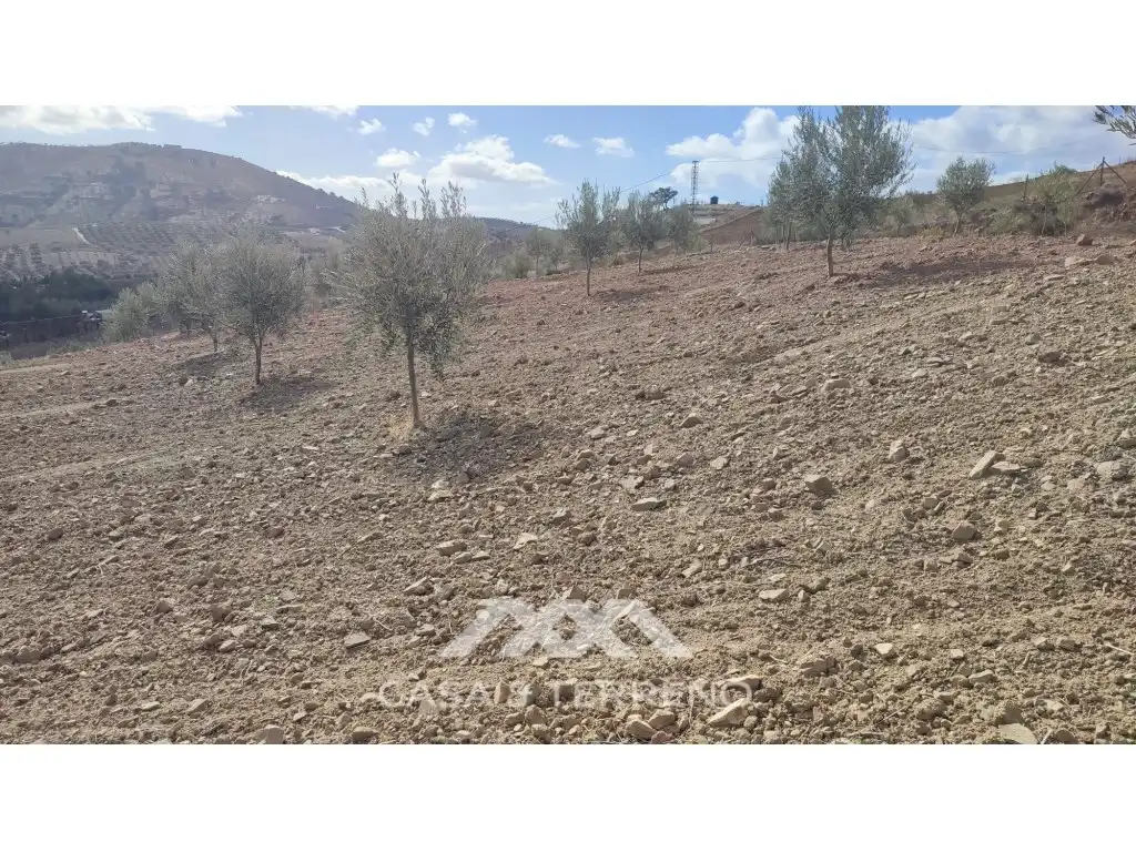 Terreni e lotti in vendita a Polígono 174 Parcela, imagen 23