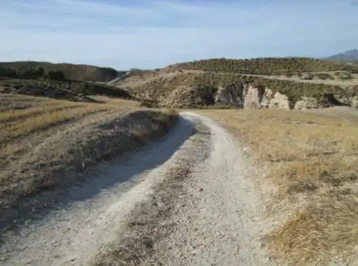 Terrains et parcelles à vendre à Lg Castañeda y Umbrías de La Pinosa, Pol 313, imagen 12