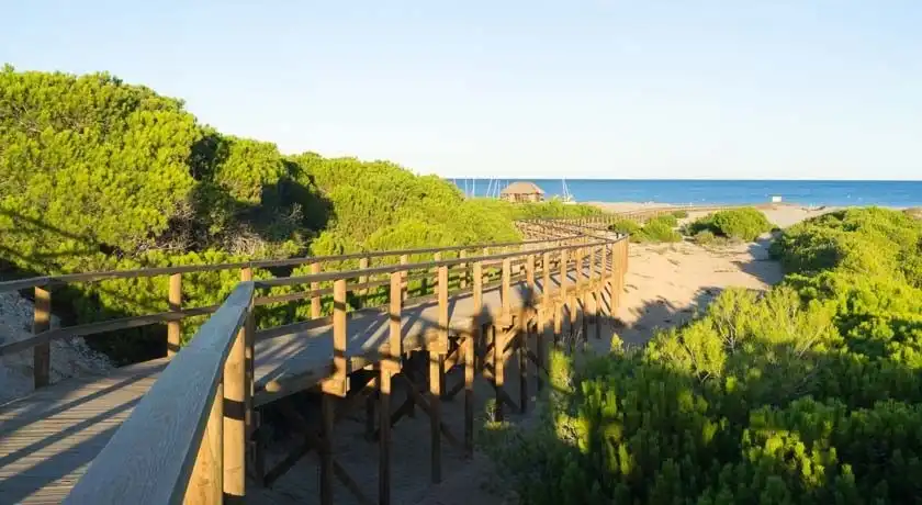 Apartamento con piscina en venta en Avenida costa blanca, imagen 35
