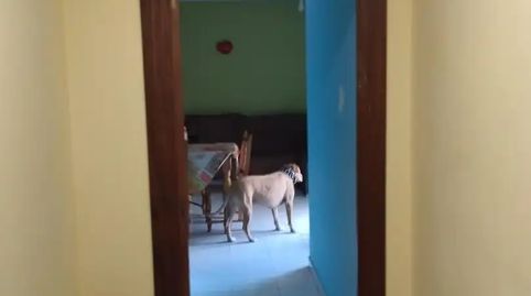 Foto 4 de Pis en venda a Rúa Ministro Allende, 5, Vilamartín de Valdeorras, Ourense