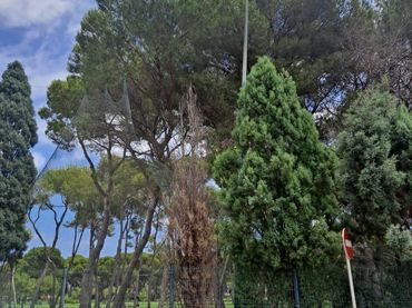 Terreno residenziale in vendita a El Grao