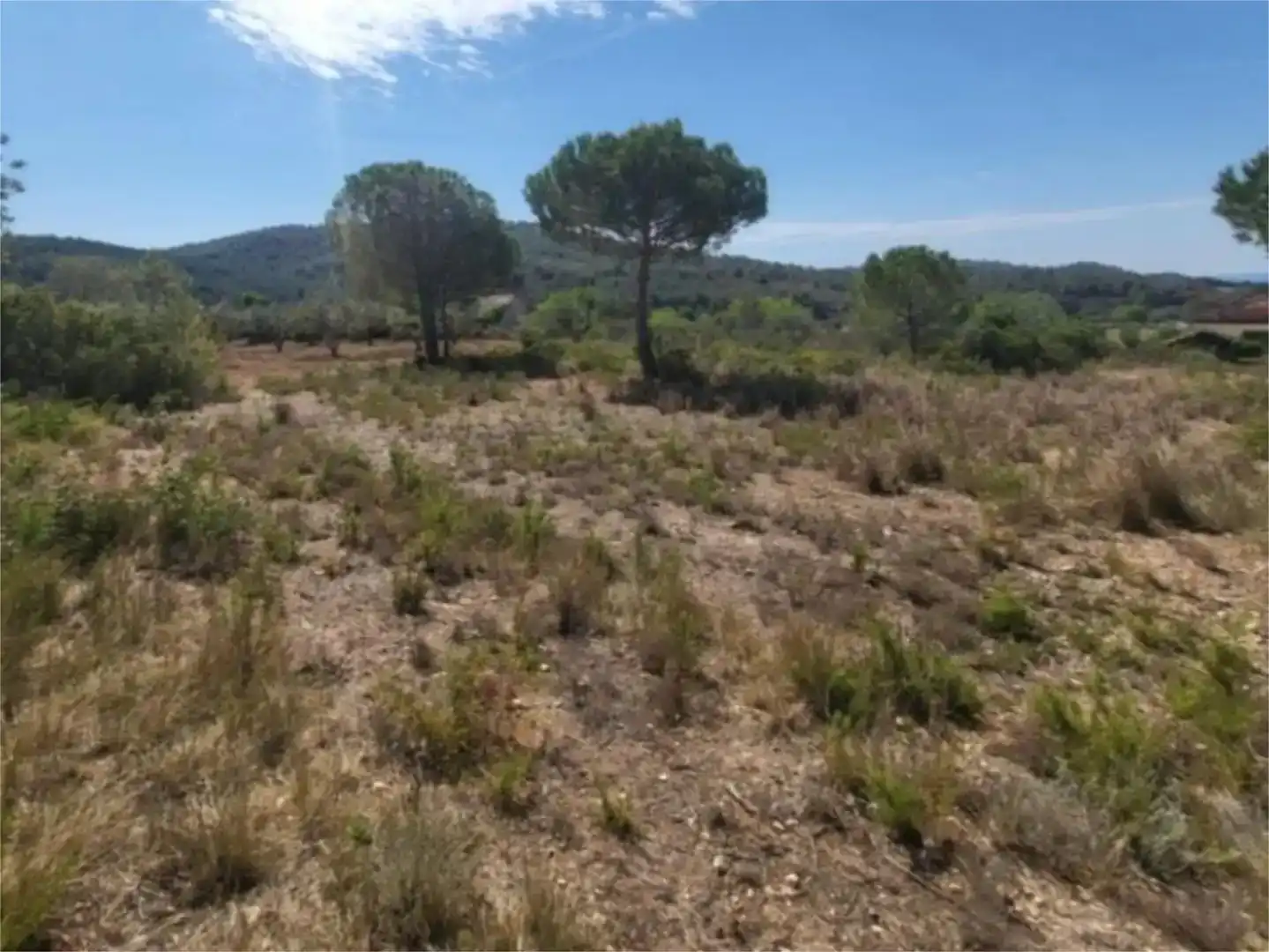 Finca rústica en venda en Benahavís