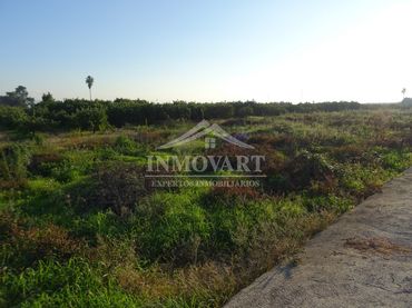 Terreno rustico in vendita a Algemesí