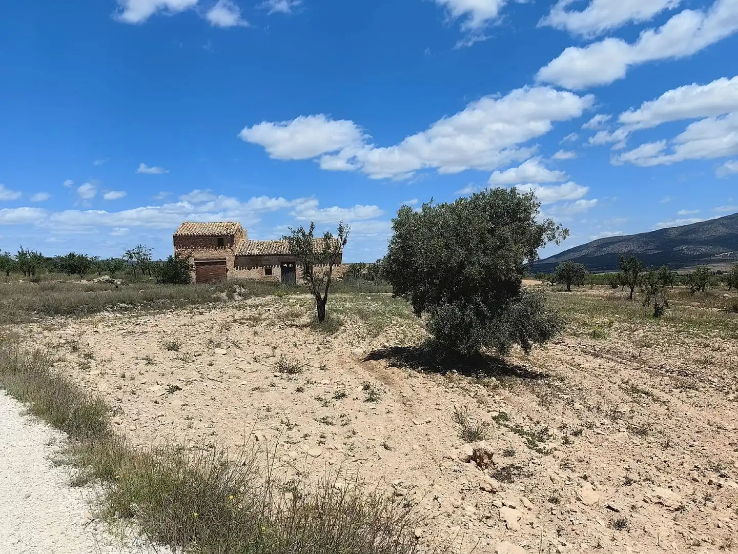 Maison à vendre à El Pinós / Pinoso, imagen 19
