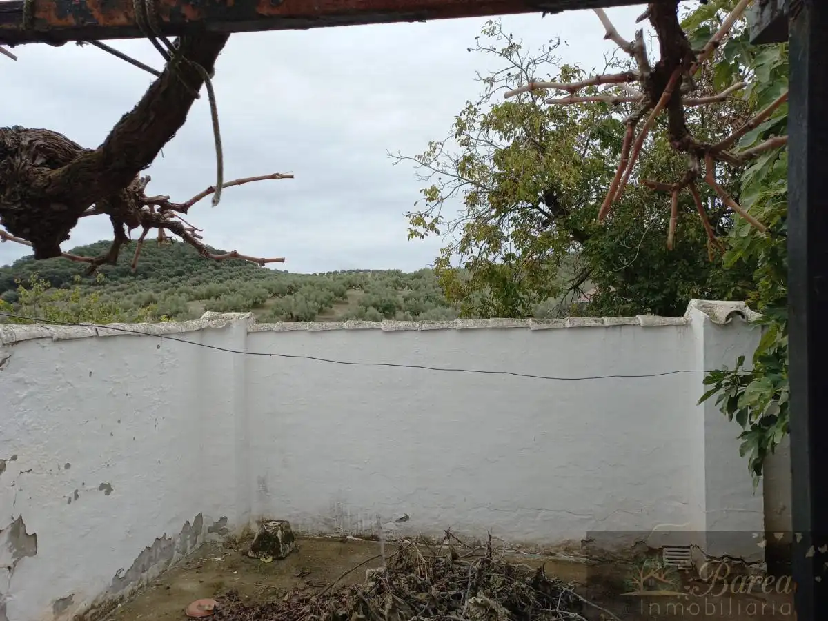 Casa en venta en Rute, imagen 16