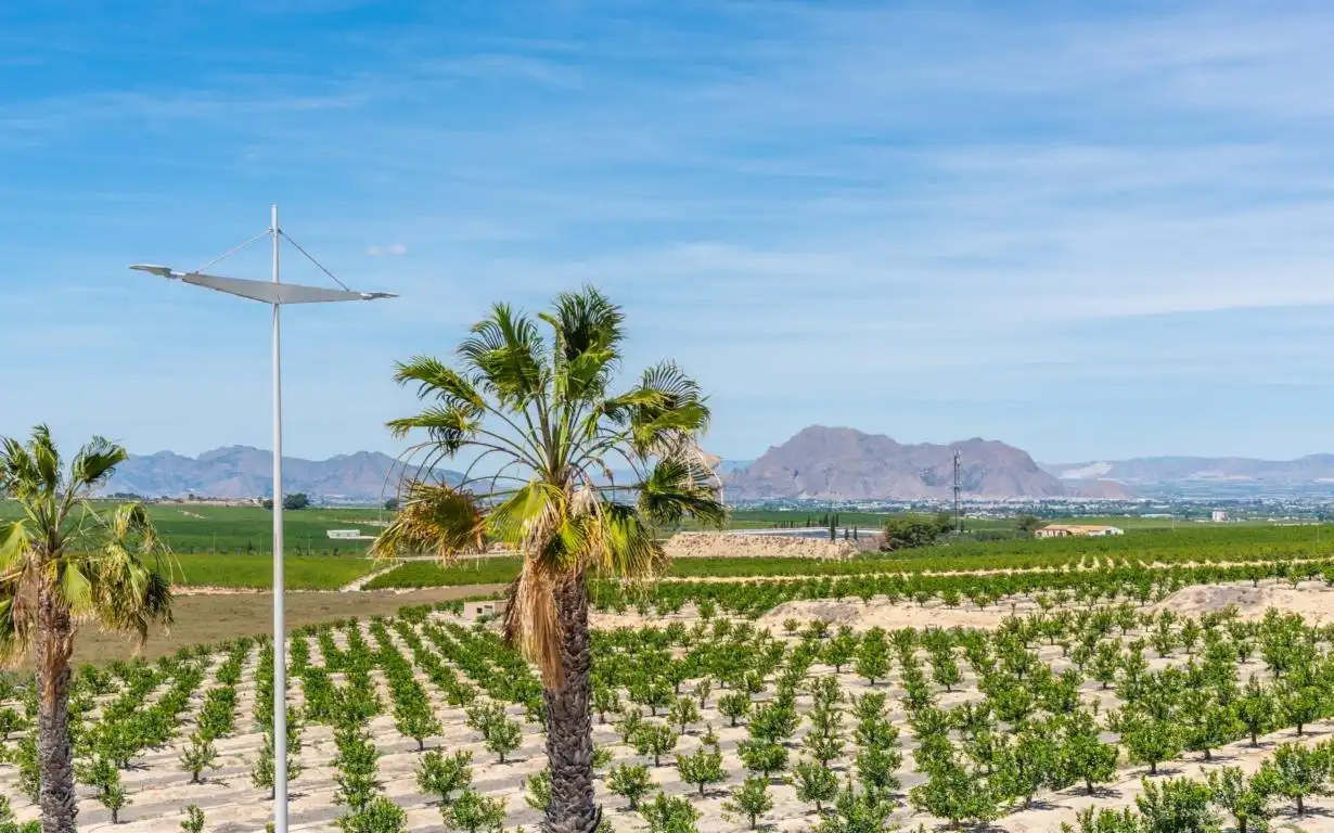 Villa in vendita a Algorfa, imagen 52