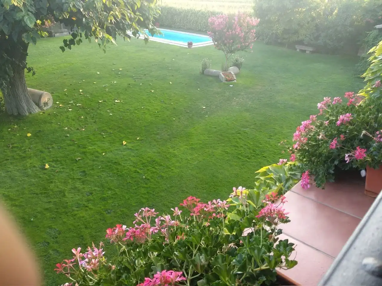 Jardí de Casa o xalet en venda en Vilanova de Bellpuig amb Calefacció, Jardí privat i Piscina