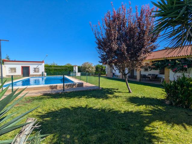 Casa-chalet en Alquiler en Sanlúcar la Mayor