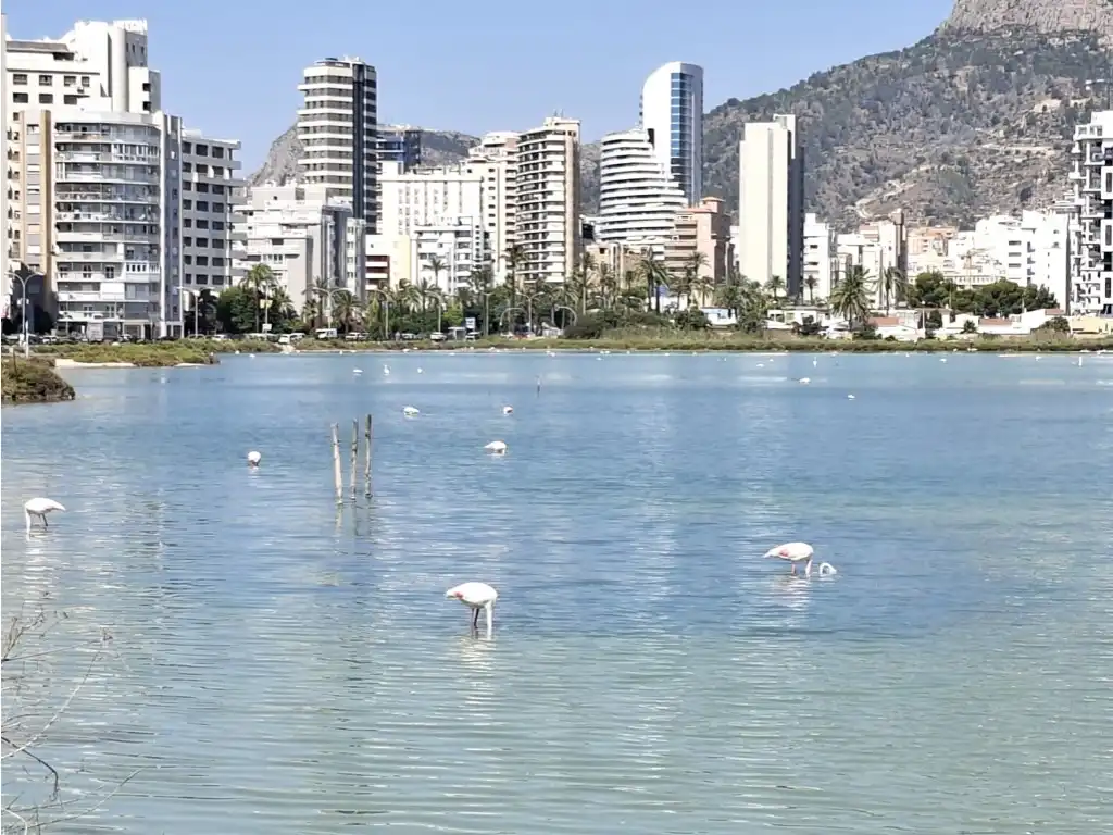 Apartament amb jardí en venda a Avenida Europa, imagen 16
