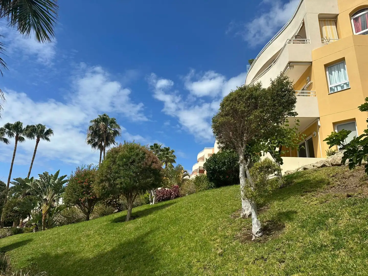 Vista exterior de Apartament en venda en Adeje amb Moblat i Piscina comunitària