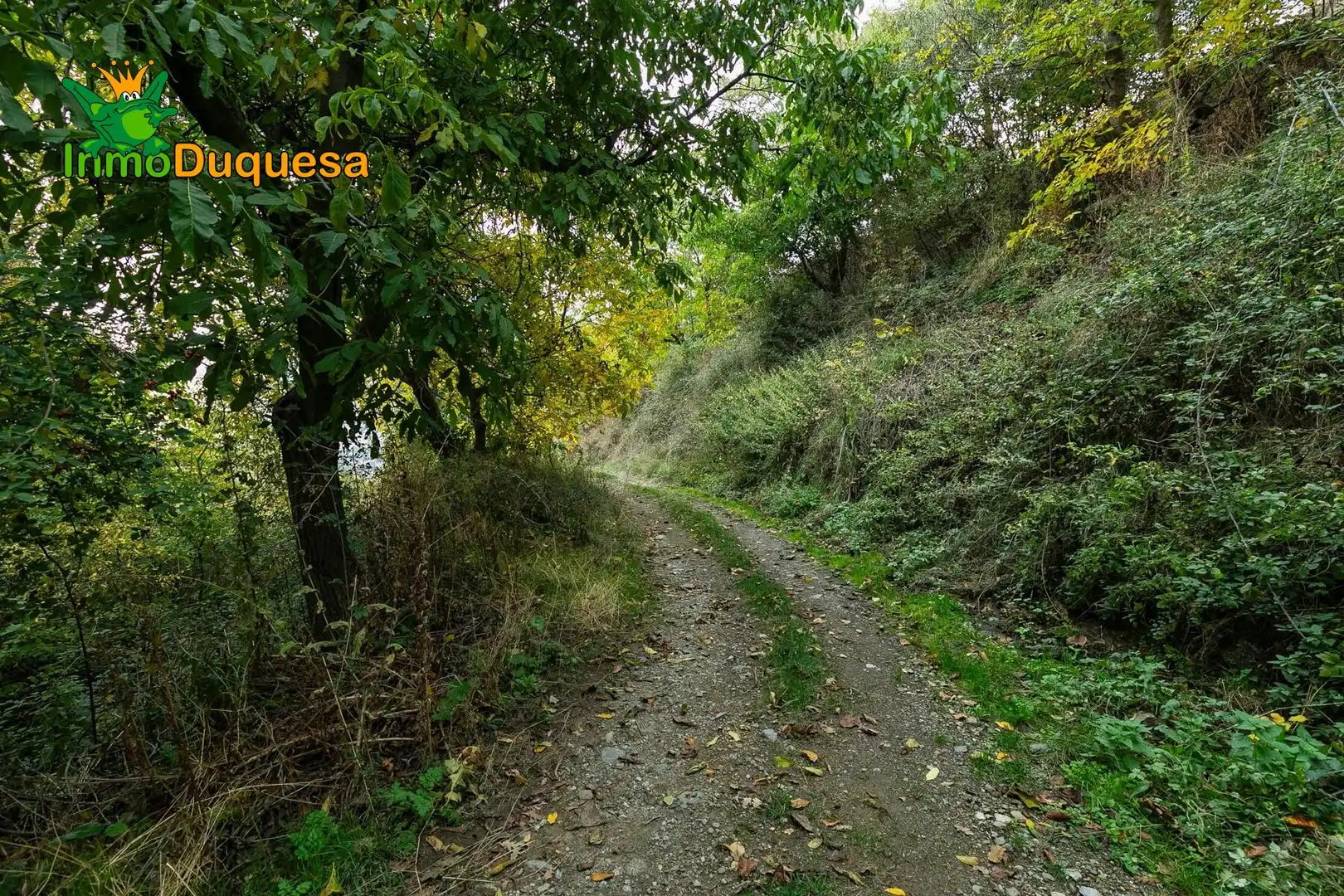 Casa rústica en venda a Güéjar Sierra, imagen 21