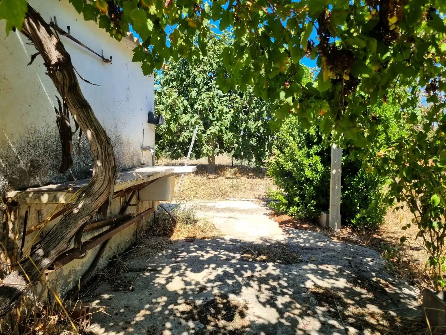 Lands and plots for sale in poligono 17 parcela 32, imagen 5