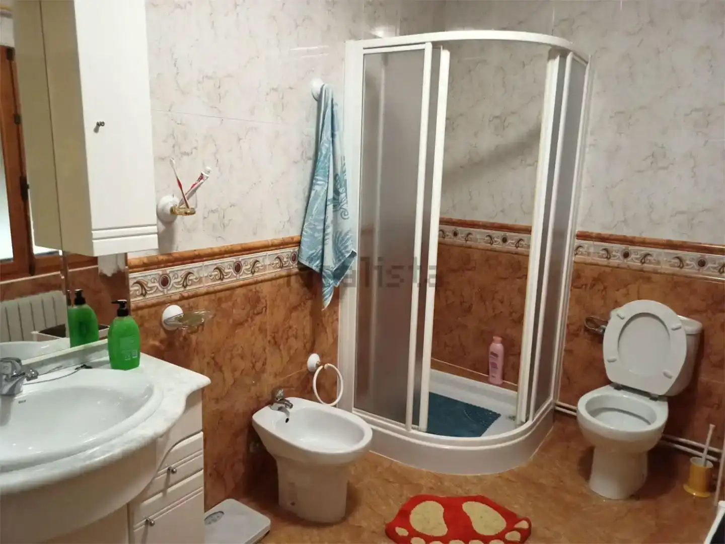 Baño de Casa o chalet en venta en La Mata