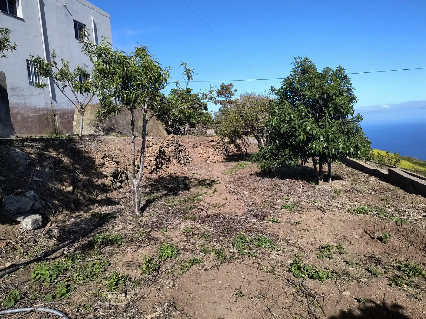 Haus oder Chalet zum Verkauf in Los Realejos mit Privatgarten und Terrasse