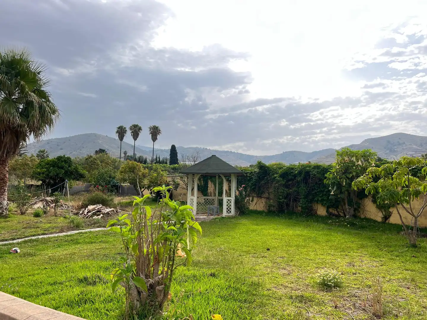 Jardí de Casa o xalet en venda en Motril amb Jardí privat, Terrassa i Piscina