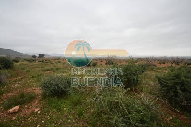 Terreno en Venta en  CASAS ALTAS en Campo Nubla