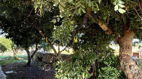 Photo 3 of House or chalet for sale in Ciutadella, Illes Balears