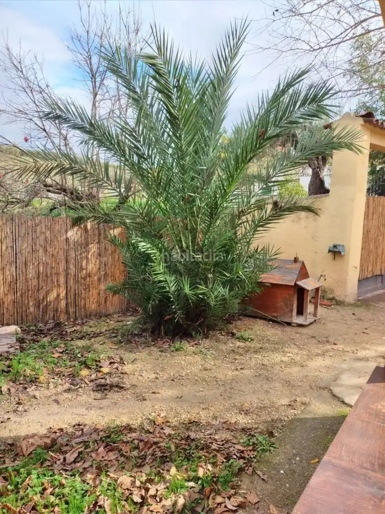 Villa à vendre à Calle de la Purísima 44, imagen 10