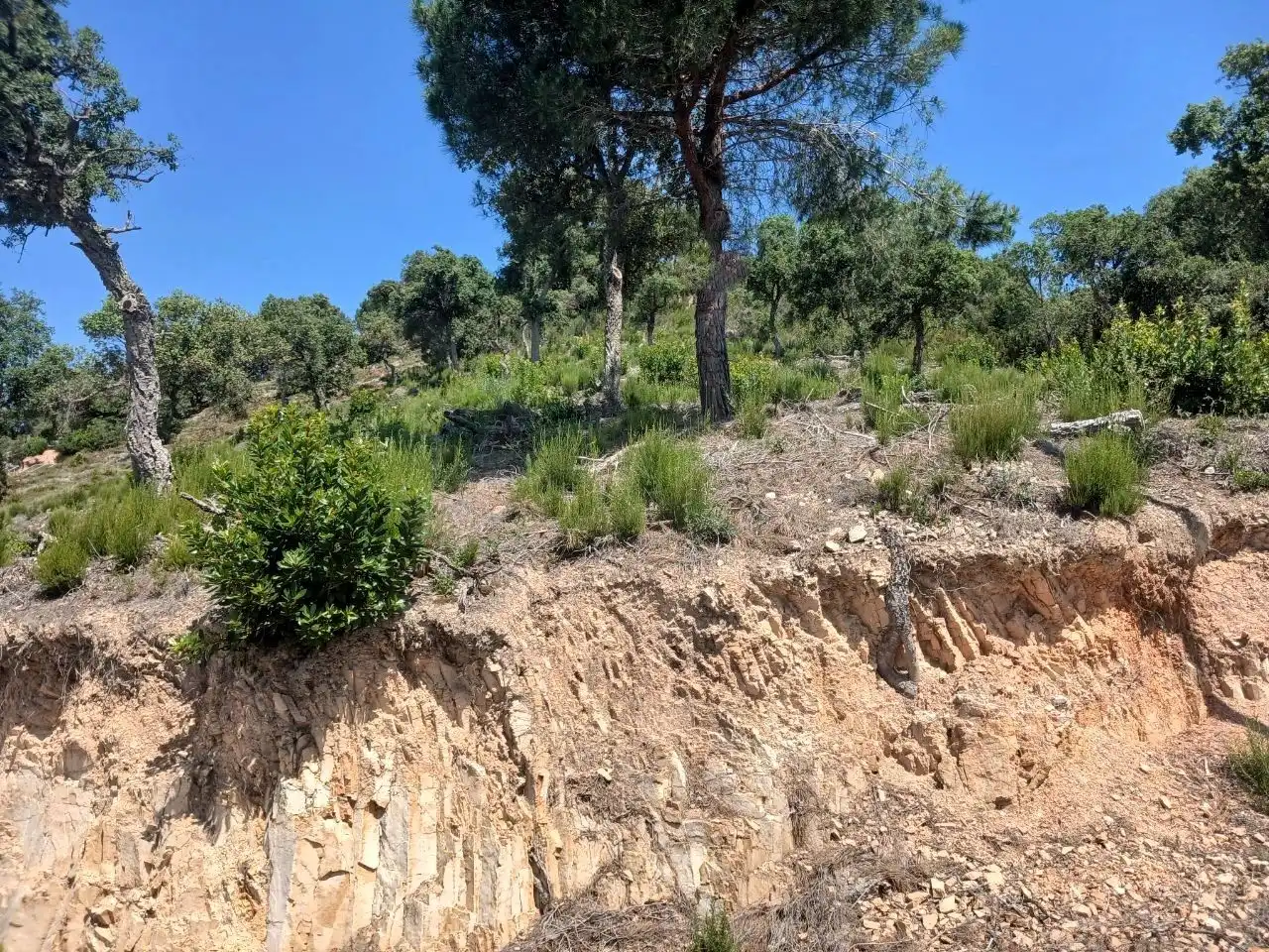 Wohnbaugrundstück zum Verkauf in Lloret Verd - Els Pinars, imagen 8