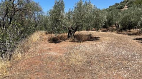 Photo 4 of Residential for sale in Carmen, Benalúa de las Villas, Granada