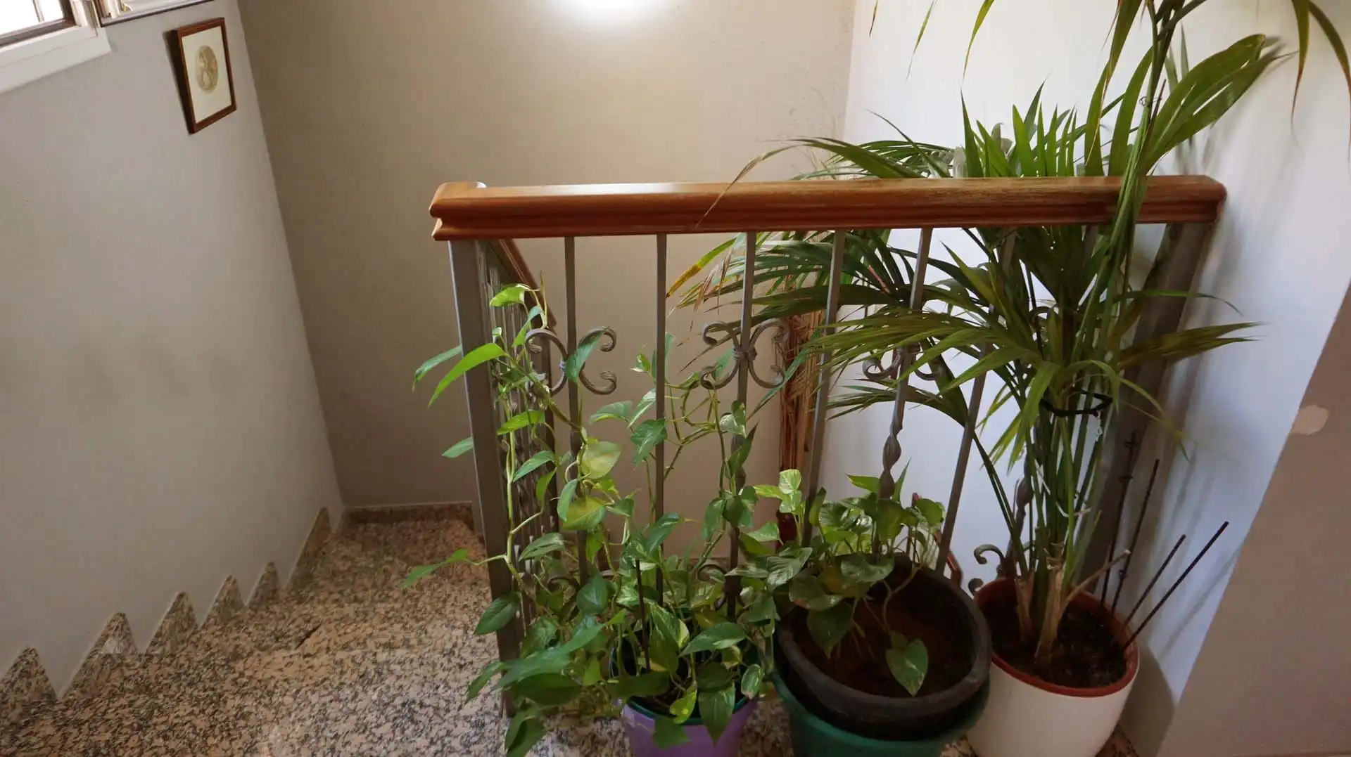 House for sale in Avinguda Lloret de Dalt, imagen 16