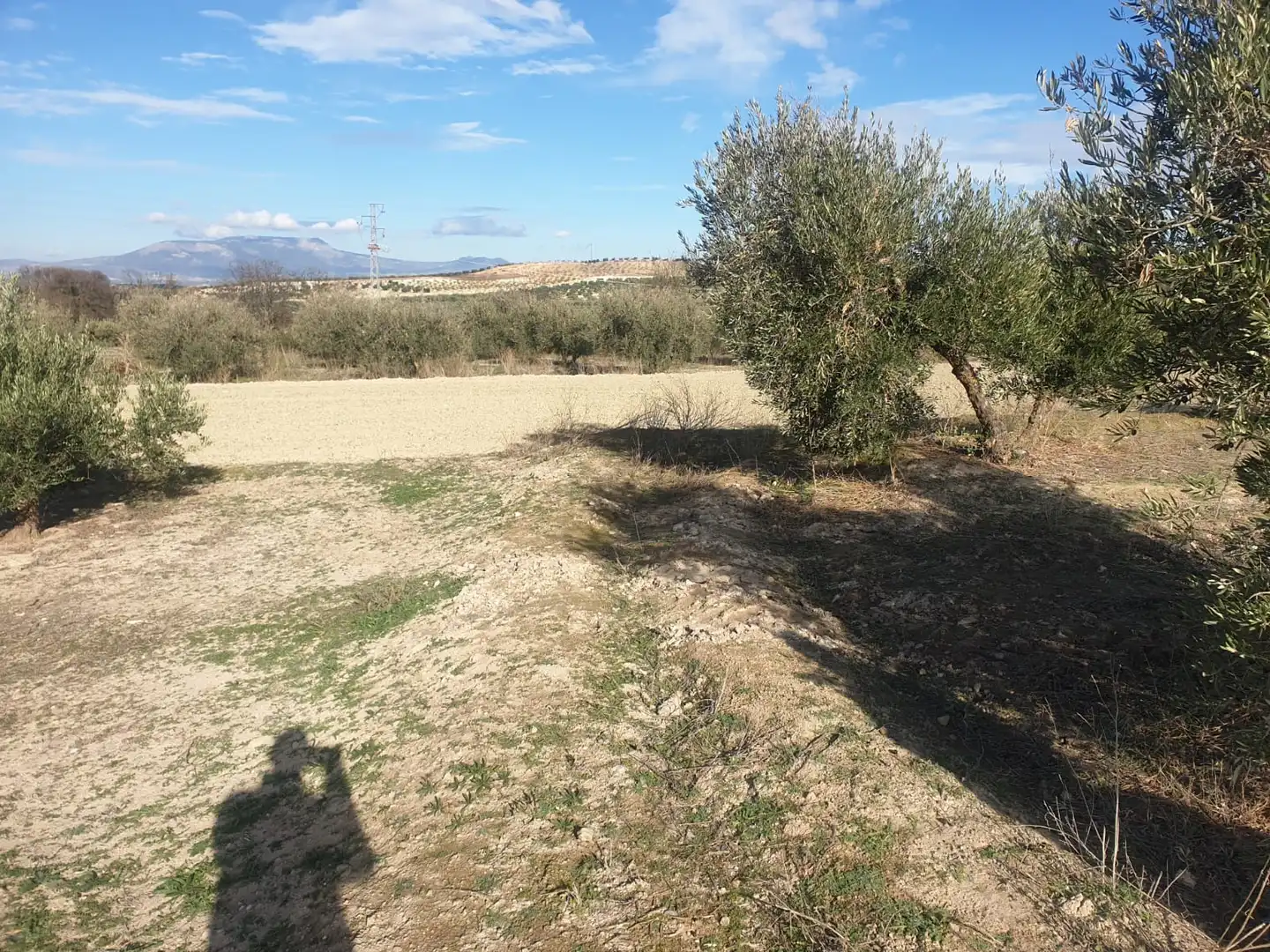 Rustikales Grundstück zum Verkauf in Avenida de Granada 1T, imagen 2