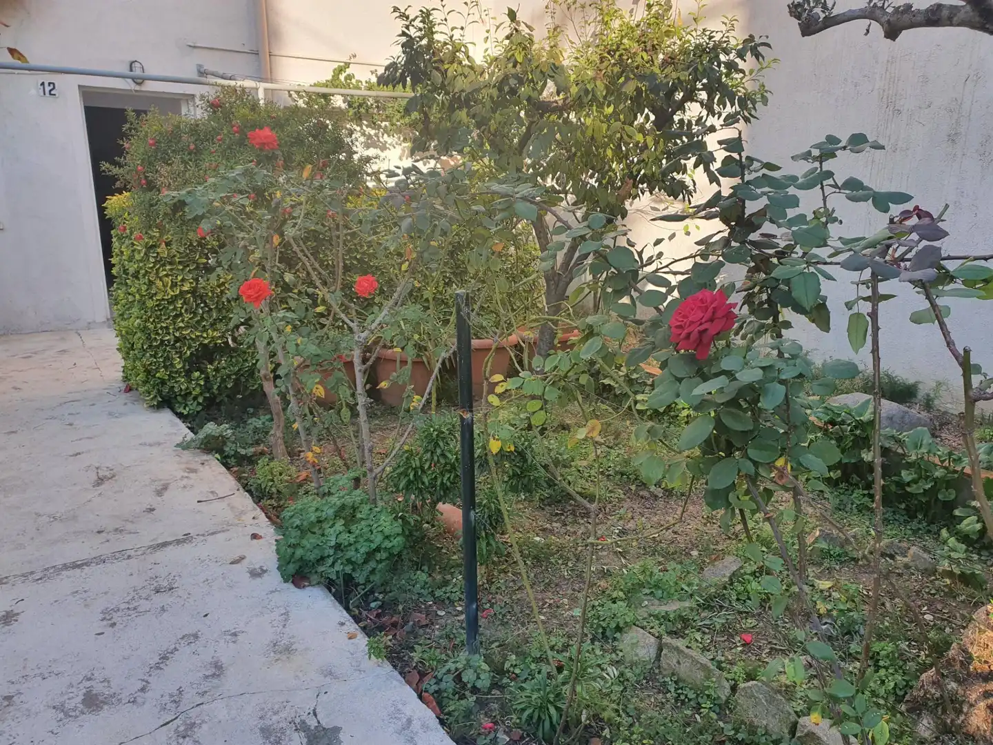 Garden of Houses for rent in Mollet del Vallès  with Heating, Private garden and Parquet flooring