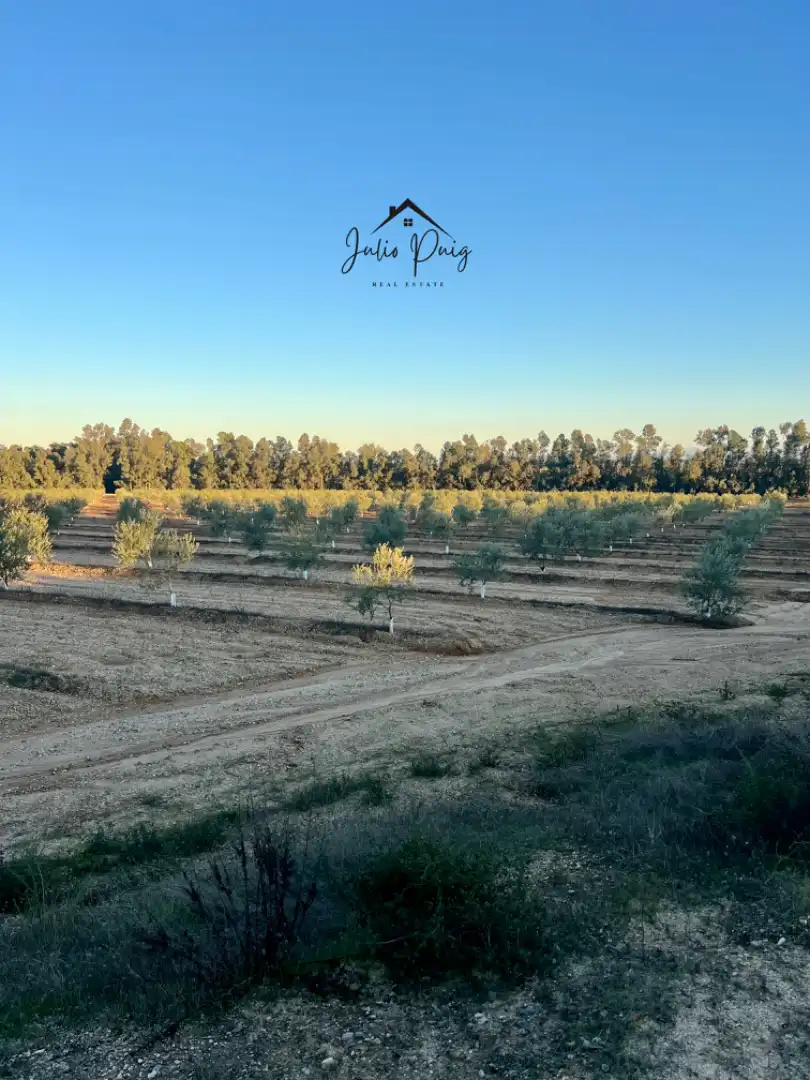 Terreni e lotti in vendita a La Puebla del Río, imagen 6