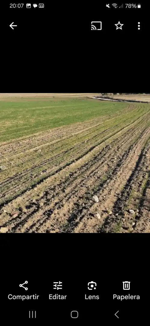 Rural land for sale in Avenida Constitución 184, imagen 2