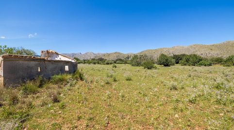 Parcela generosa en venta cerca de Puerto Pollensa en Mallorca, immagine 4