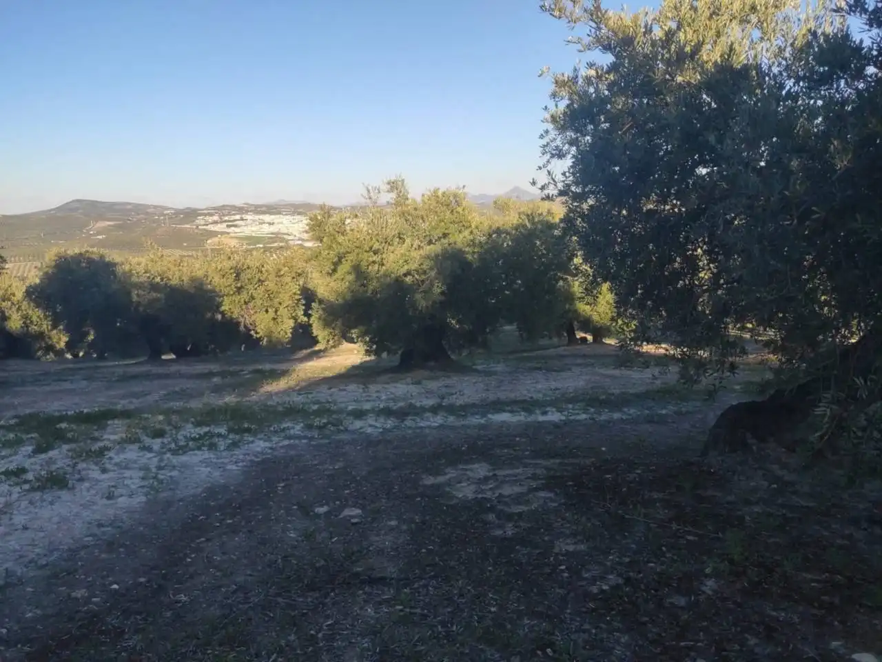 Rustikales Grundstück zum Verkauf in Calle Salvador Muñoz, imagen 3