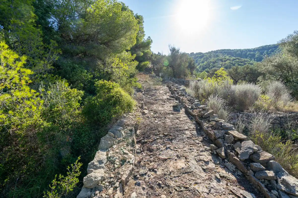Terreny rústic en venda a Camí de la Potra de Pino 28, imagen 24