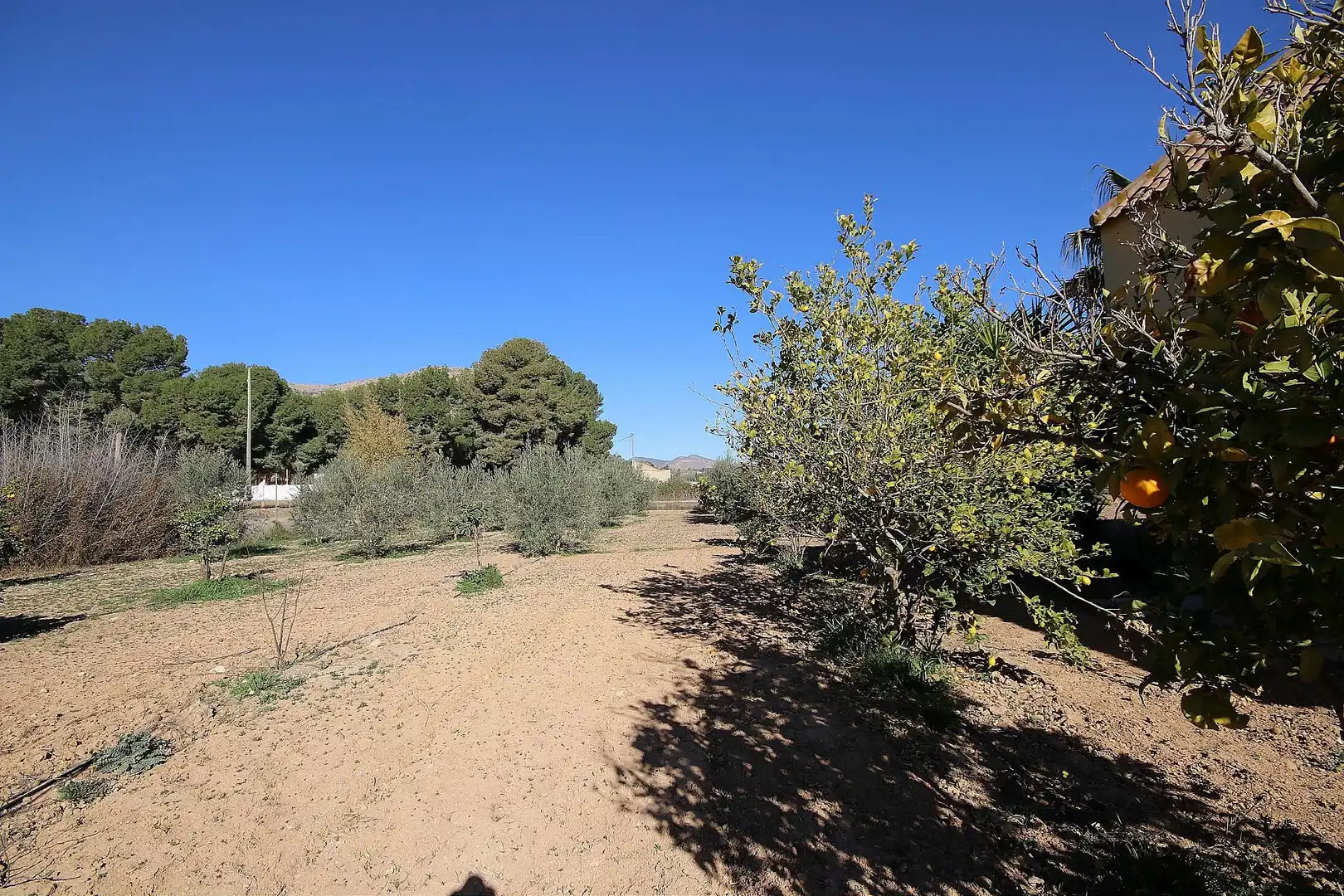 Villa in vendita a Pedanías Oeste, imagen 47