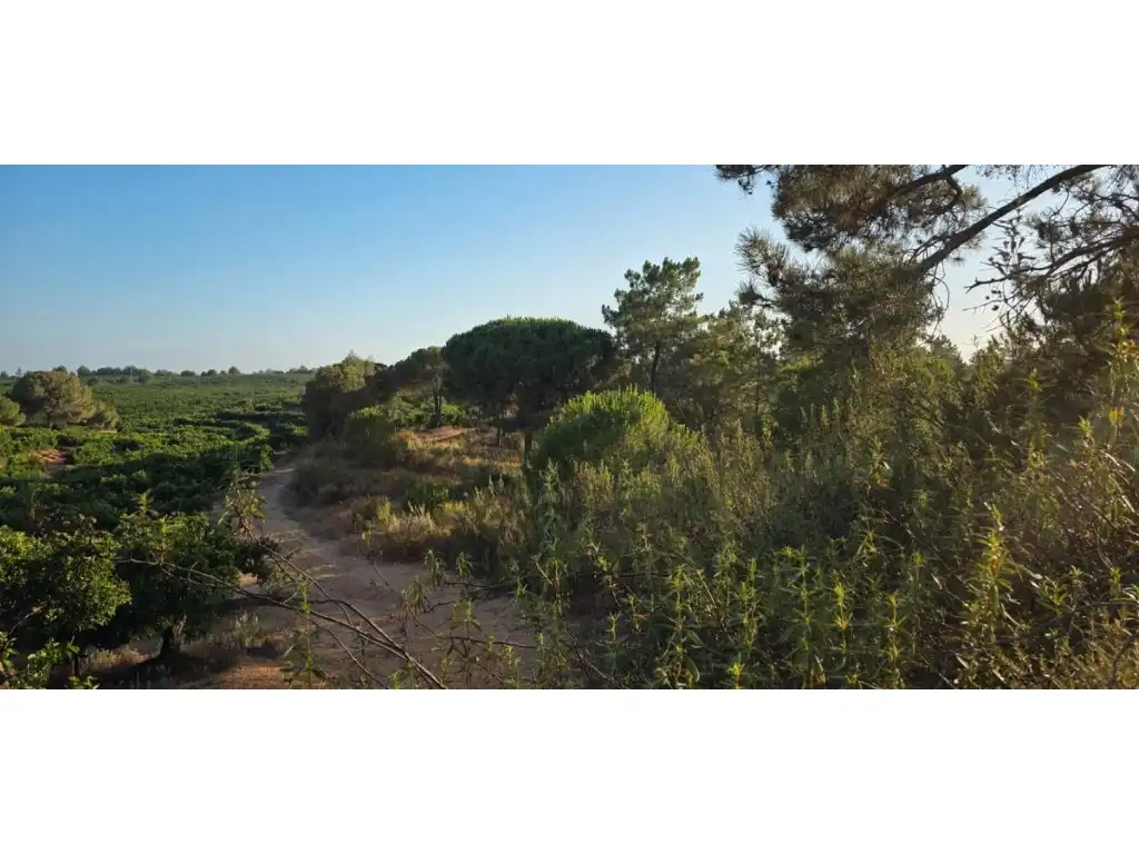 Terreny residencial en venda a Villablanca, imagen 3