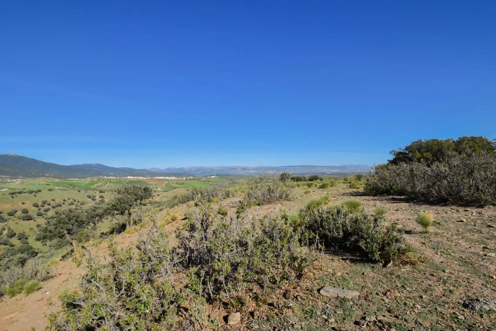 Terreno en venta en Paraje de las Perdices, Lugros