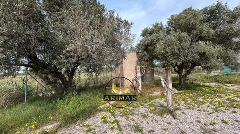 Photo 2 of Land for sale in Partida Almalafa, 12, Parque Geólogo José Royo Gómez, Castellón