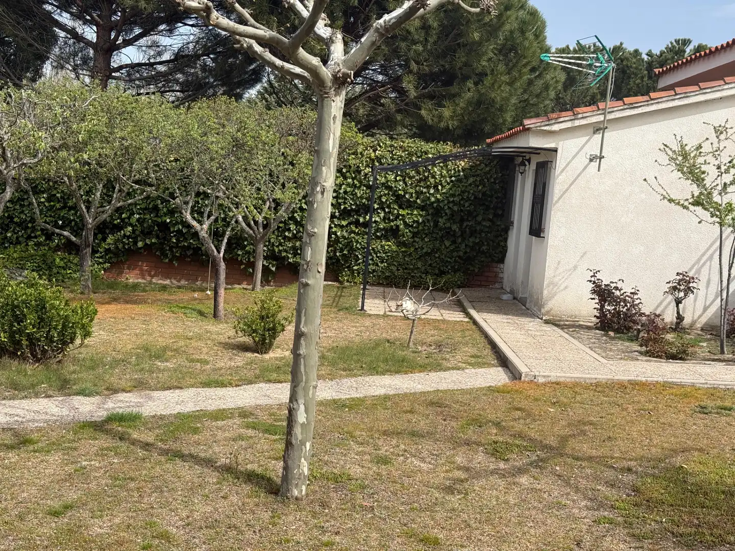 Terreni e lotti in vendita a Calle Cordel de las Moruchas, imagen 22
