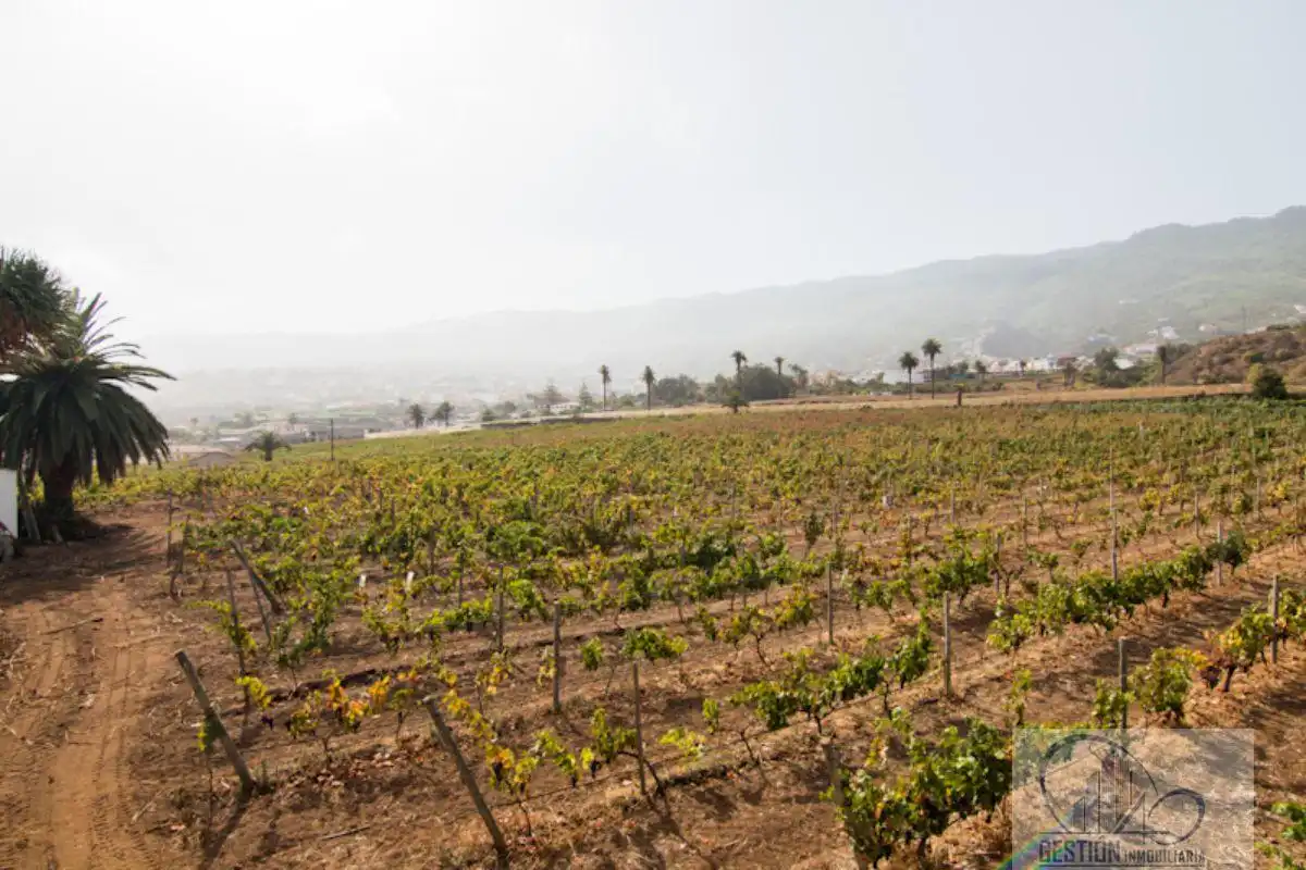 Vista exterior de Finca rústica en venda en Santa Úrsula amb Terrassa i Balcó