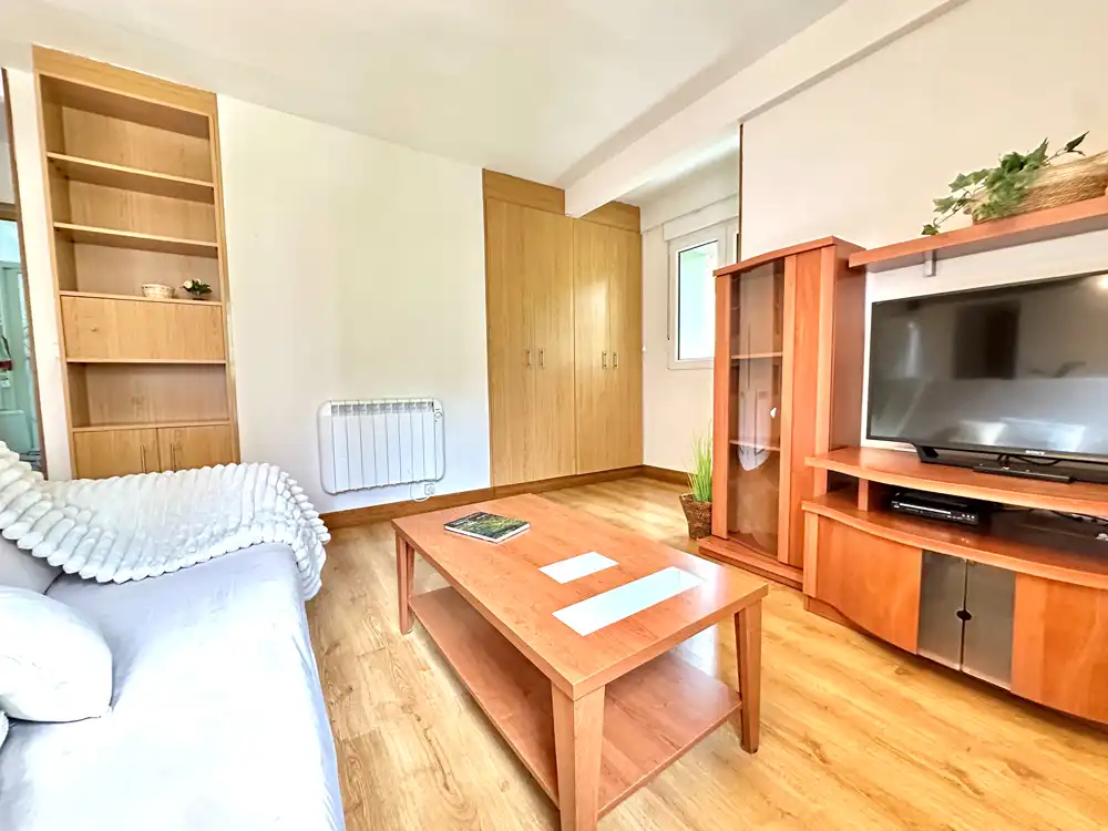 Sala d'estar de Pis en venda en Donostia - San Sebastián  amb Calefacció, Moblat i Balcó