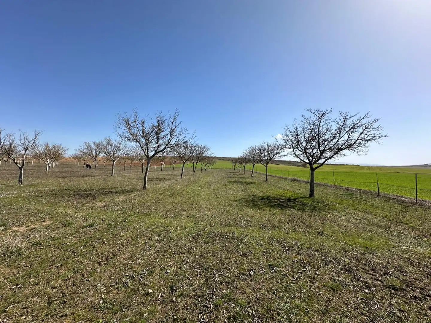 Houses for sale in Arlanzón  with Private garden