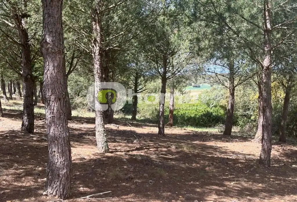 Terreno en venta en Granja de Moreruela