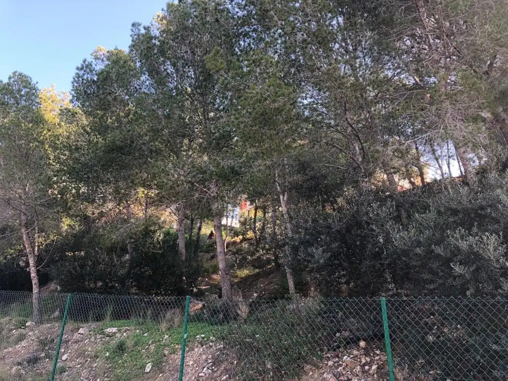 Rural land for sale in C/ de la cala Crancs, imagen 7