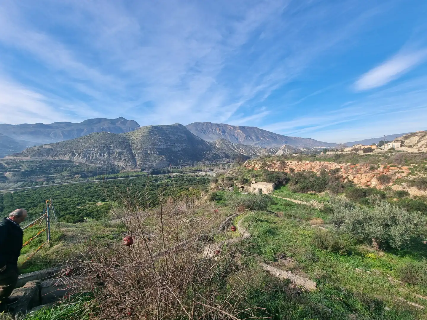 Rural land for sale in Terque, imagen 31