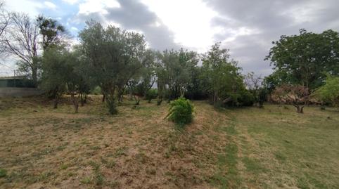 Foto 5 de Casa o xalet en venda a Puigverd de Lleida, Lleida