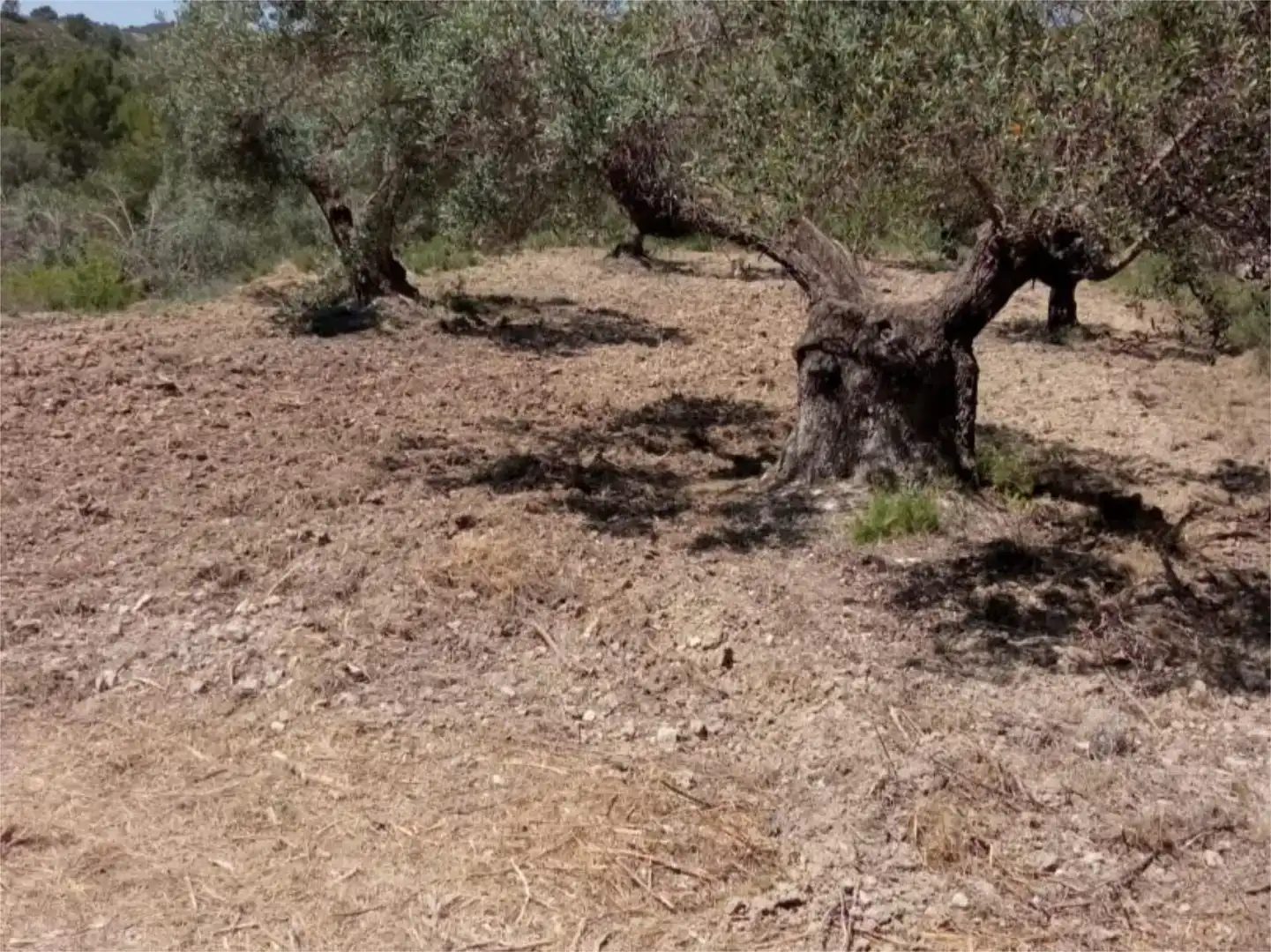 Terreno en venta en Busot