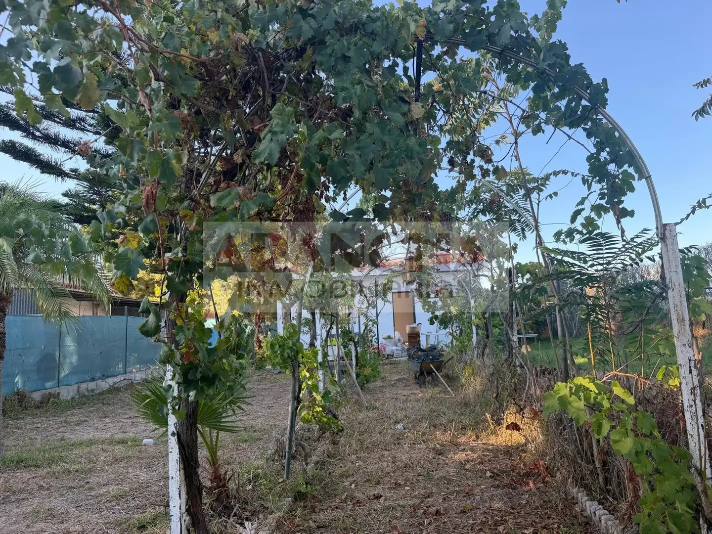 Terreno rustico in vendita a Las Tres Piedras - Costa Ballena, imagen 8