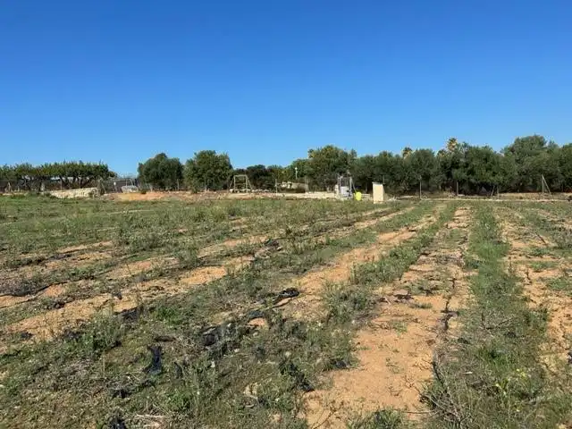 Terrenys i solars en venda a DEL REMEI, imagen 21