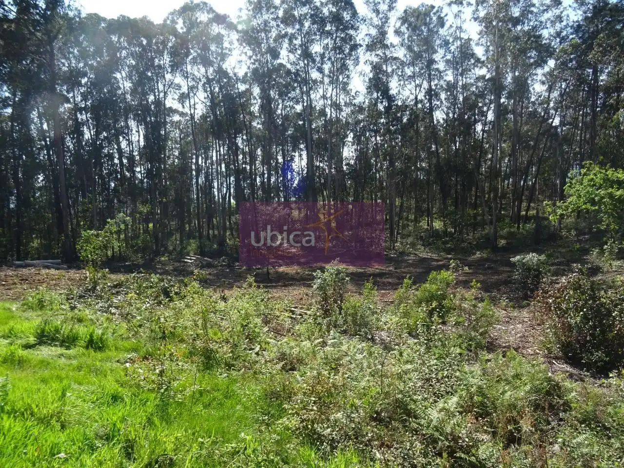 Terreny residencial en venda a O Porriño, imagen 8