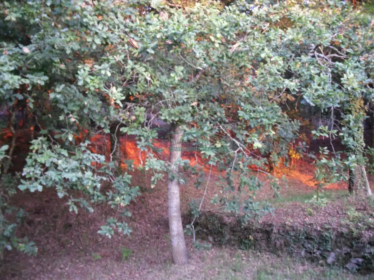 Garten von Country house zum Verkauf in Nigrán mit Heizung, Privatgarten und Terrasse